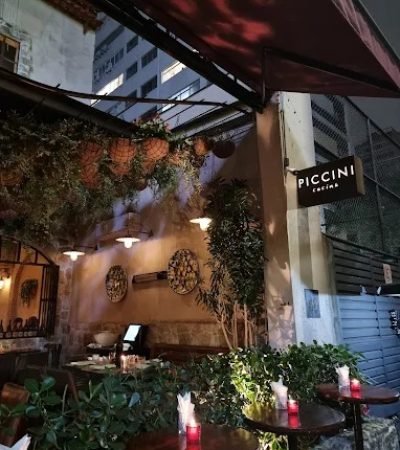 WhatsApp Image 2025-07-29 at 15.10.07